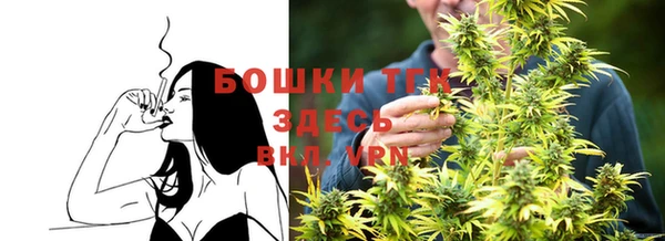СК Краснослободск